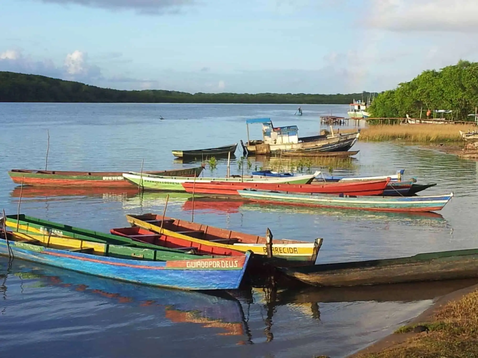 Bahia coastal scene with colorful boats and lush greenery.