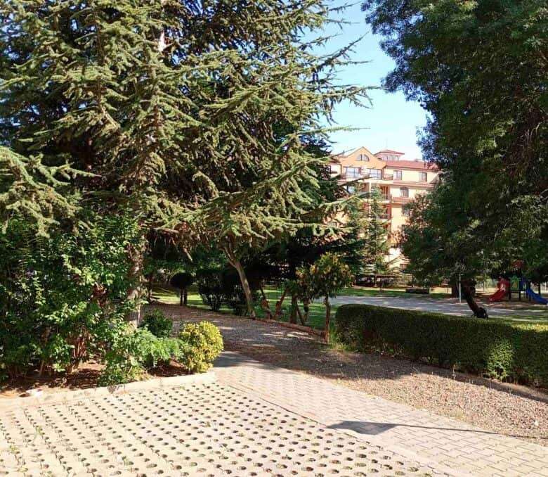 Beautiful park with trees, bushes, and walking paths close to the beach.