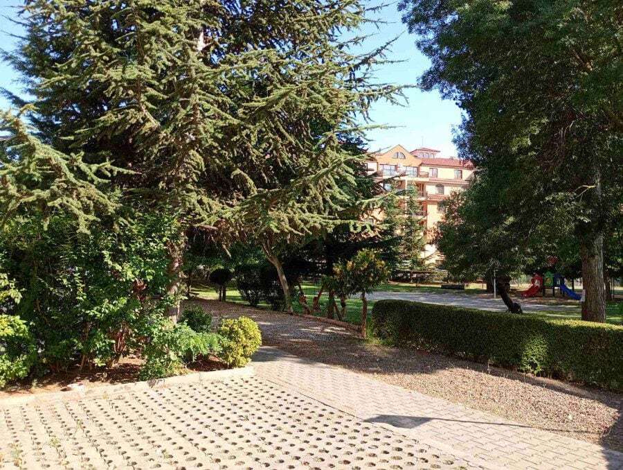 Beautiful park with trees, bushes, and walking paths close to the beach.