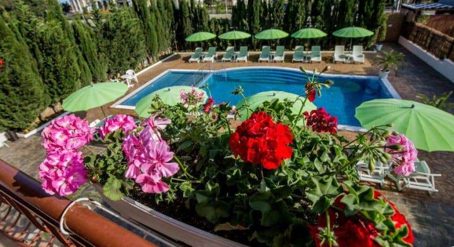 Poolside scene with colorful flowers and green umbrellas in a sunny outdoor setting.