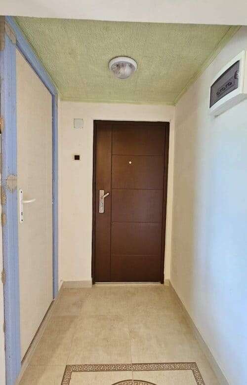 Interior view of a house entrance hallway with a modern door and ceiling light fixture.