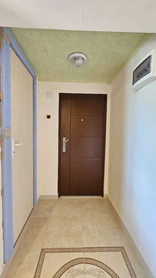 Interior view of a house entrance hallway with a modern door and ceiling light fixture.
