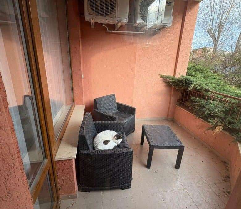Balcony with black wicker furniture and a cat, overlooking greenery in Sunflower, Sunny Beach, close.