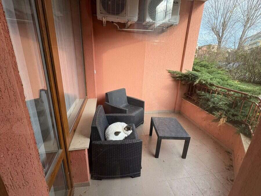 Balcony with black wicker furniture and a cat, overlooking greenery in Sunflower, Sunny Beach, close.