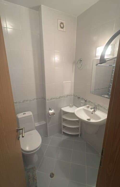 Small bathroom with toilet, sink, and mirror in a furnished apartment.