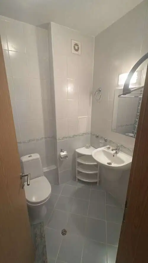 Small bathroom with toilet, sink, and mirror in a furnished apartment.