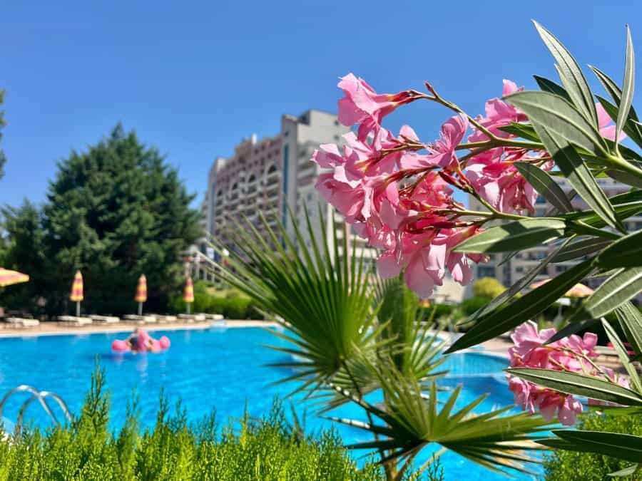 1-bedroom apartment near the sea in Sunny Beach Plaza, featuring a swimming pool and lush surroundin.