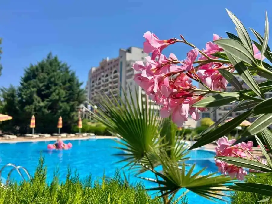 1-bedroom apartment near the sea in Sunny Beach Plaza, featuring a swimming pool and lush surroundin.