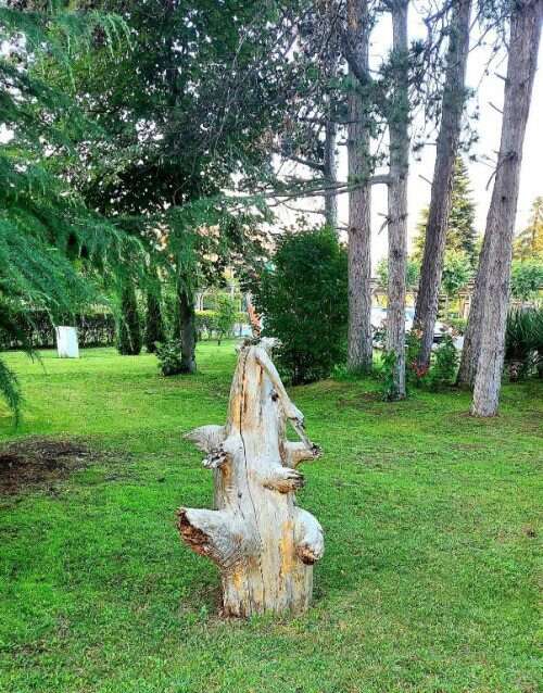 Bright fully furnished studio, 30 sq.m., in newly built Aphrodite Park, Sunny Beach.