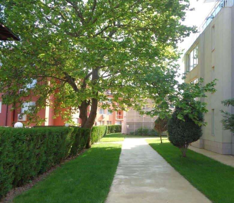 Modern garden with trees and pathway in Oasis, Ravda.