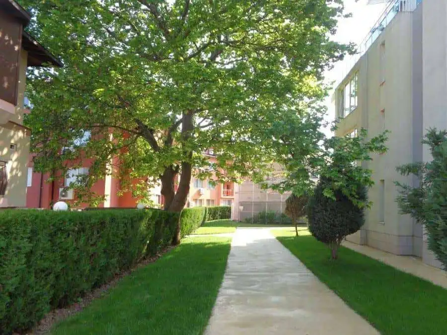 Modern garden with trees and pathway in Oasis, Ravda.