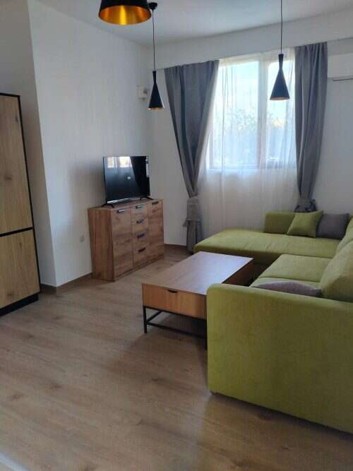 Cozy studio living room with green sofa, wooden furniture, and natural light from large window.