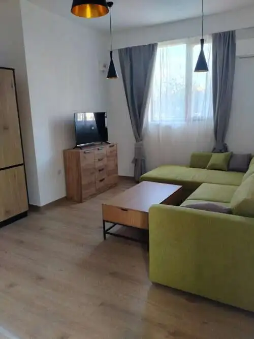 Cozy studio living room with green sofa, wooden furniture, and natural light from large window.