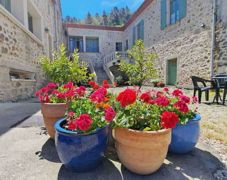 Elegant country estate with vibrant flower pots in Branoux les Taillades.