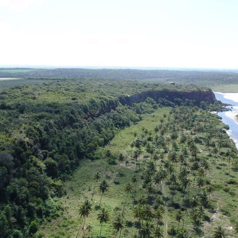 Land for sale in Lucena with lush greenery and palm trees, ideal for development or investment.