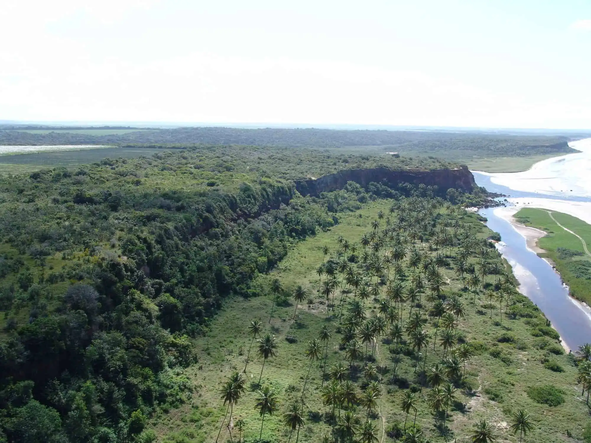 Land for sale in Lucena with lush greenery and palm trees, ideal for development or investment.