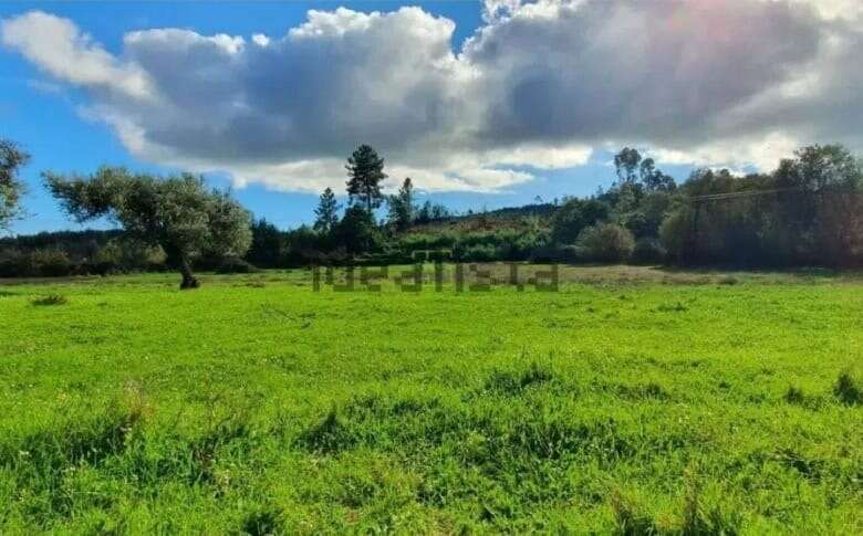 Beautiful plot of land in Vale de Prazeres with renovation potential in Fundão area.