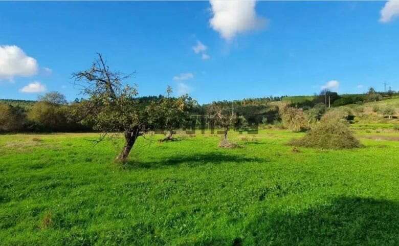 Beautiful plot of land with trees and green fields in Vale de Prazeres, Fundão.