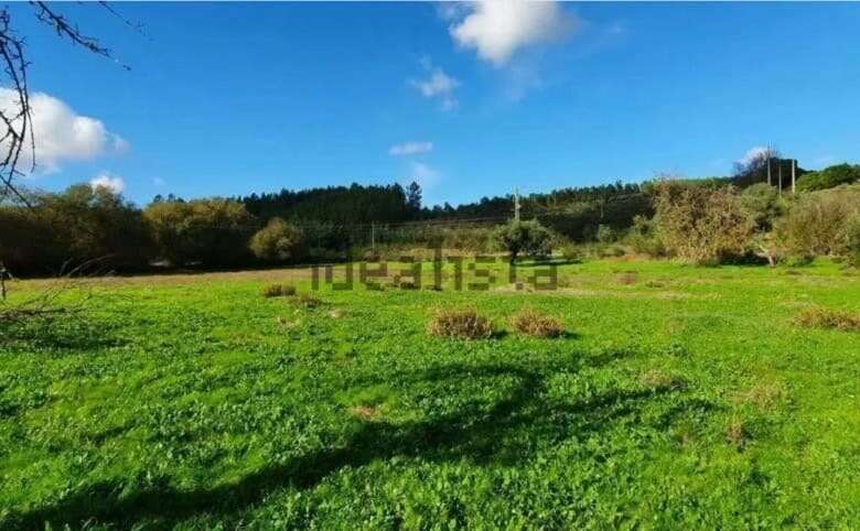 Spacious land plot available for sale in Vale de Prazeres, ideal for renovation projects.