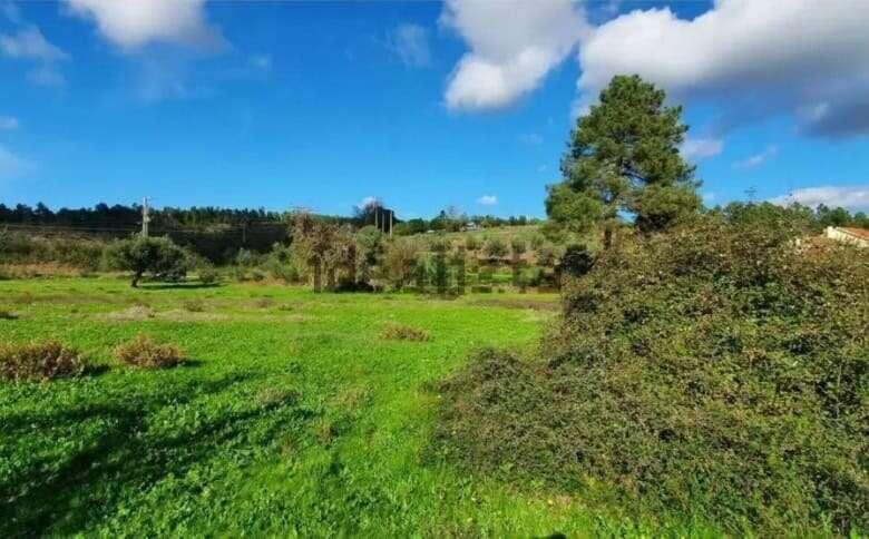 Spacious land plot for sale in Vale de Prazeres, ideal for renovation or development projects. Beaut.