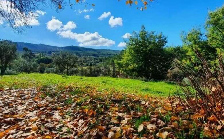 Beautiful land plot for sale in Vale de Prazeres and Mata da Rainha Fundão, ideal for renovation or.