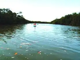 Scenic river in Lucena ideal for land development and investment.