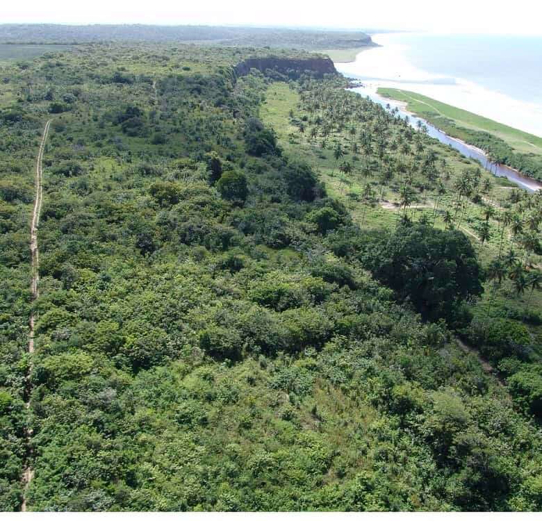 Land for sale in Lucena featuring dense vegetation and proximity to the beach.