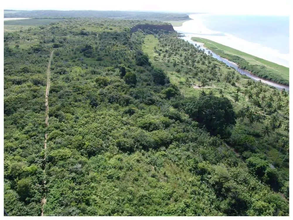 Land for sale in Lucena featuring dense vegetation and proximity to the beach.