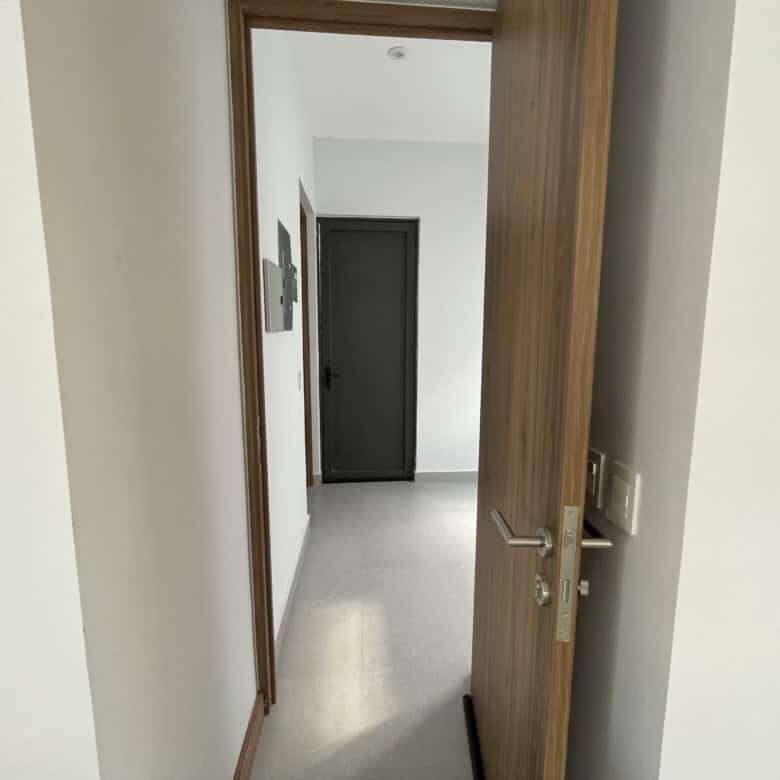 Modern home interior with wooden door and minimalist design.