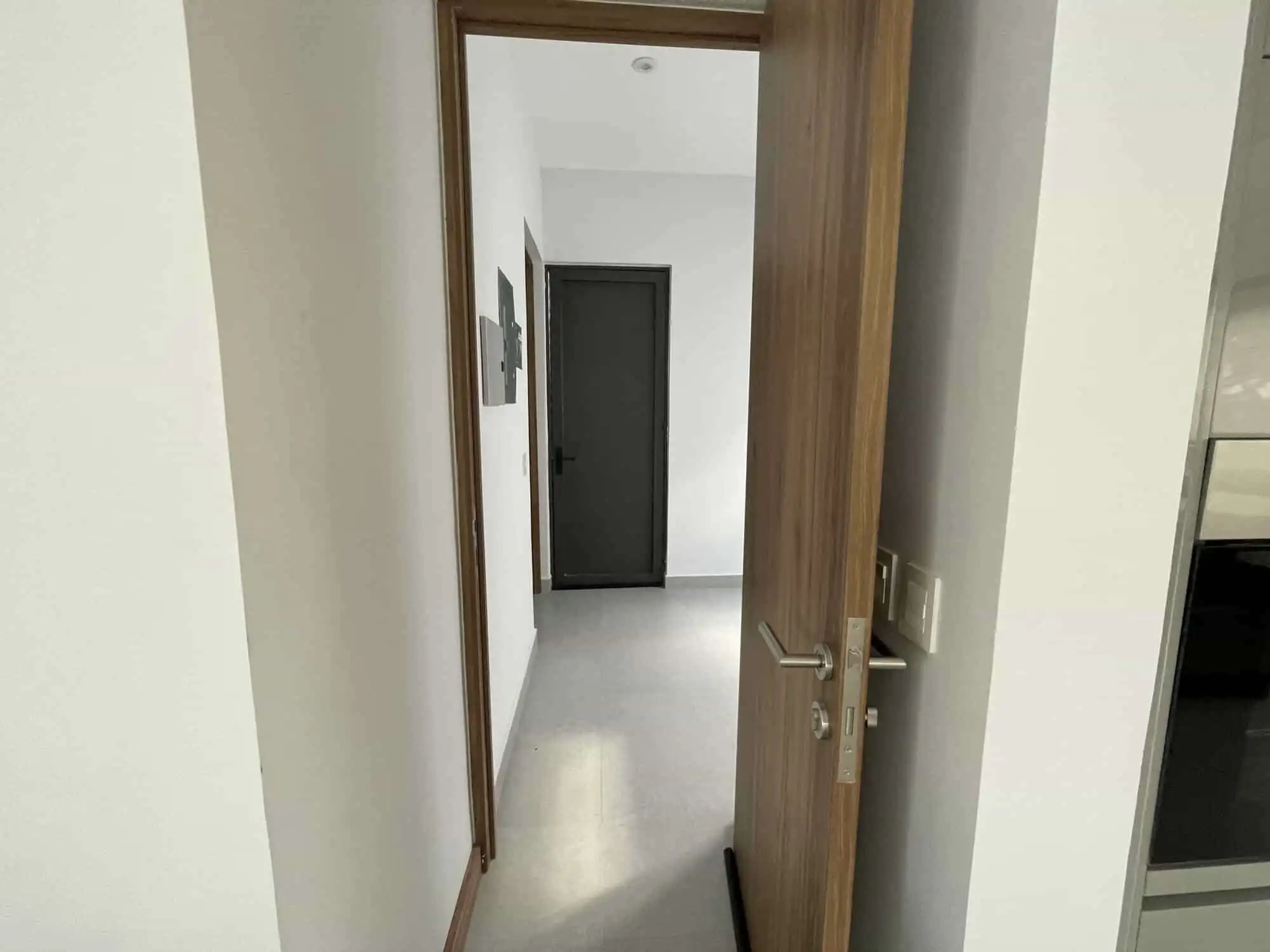 Modern home interior with wooden door and minimalist design.