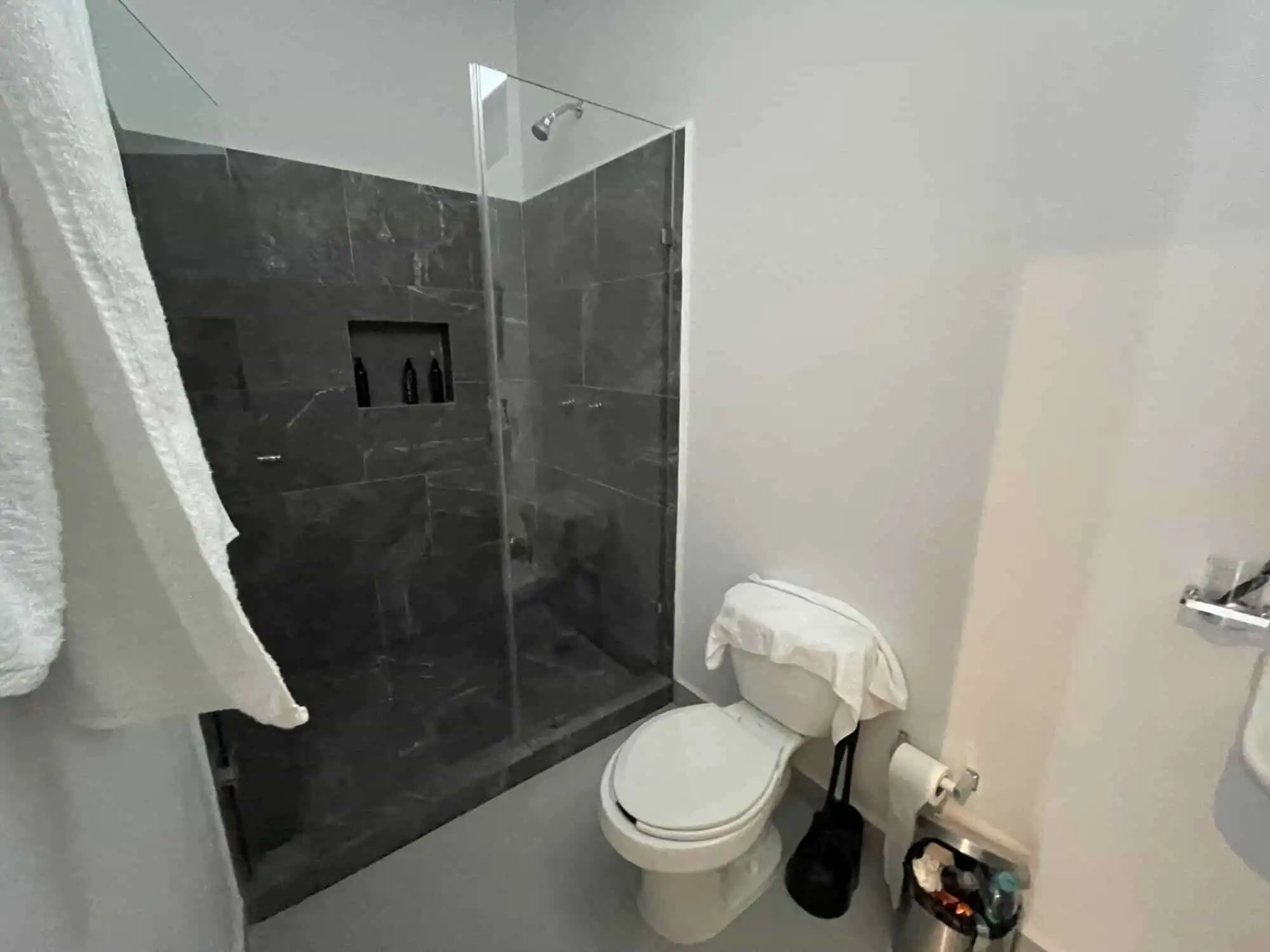 Modern bathroom with walk-in shower and sleek fixtures.