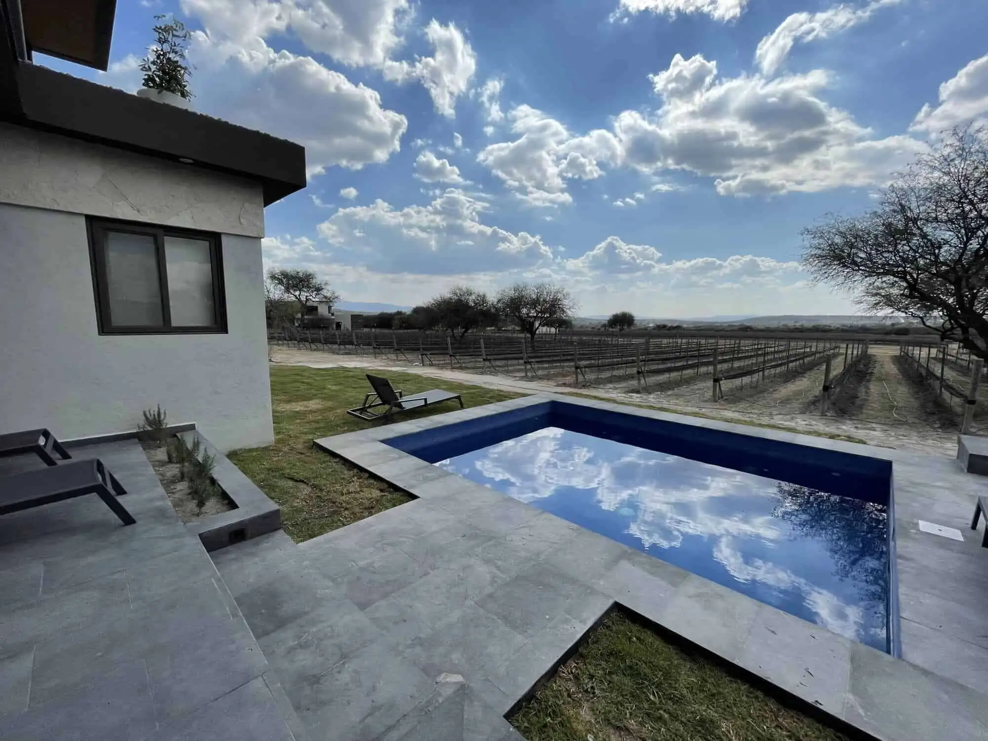 Pool with scenic vineyard views in a luxury estate in San Miguel de Allende, Mexico.