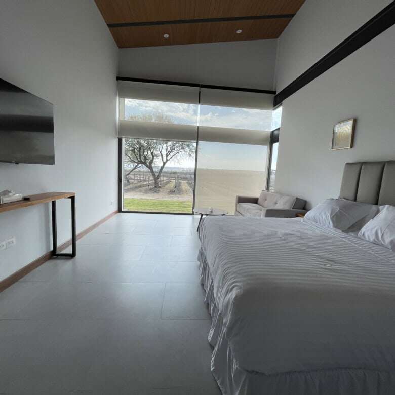 Modern bedroom with large window overlooking vineyard and scenic landscape.