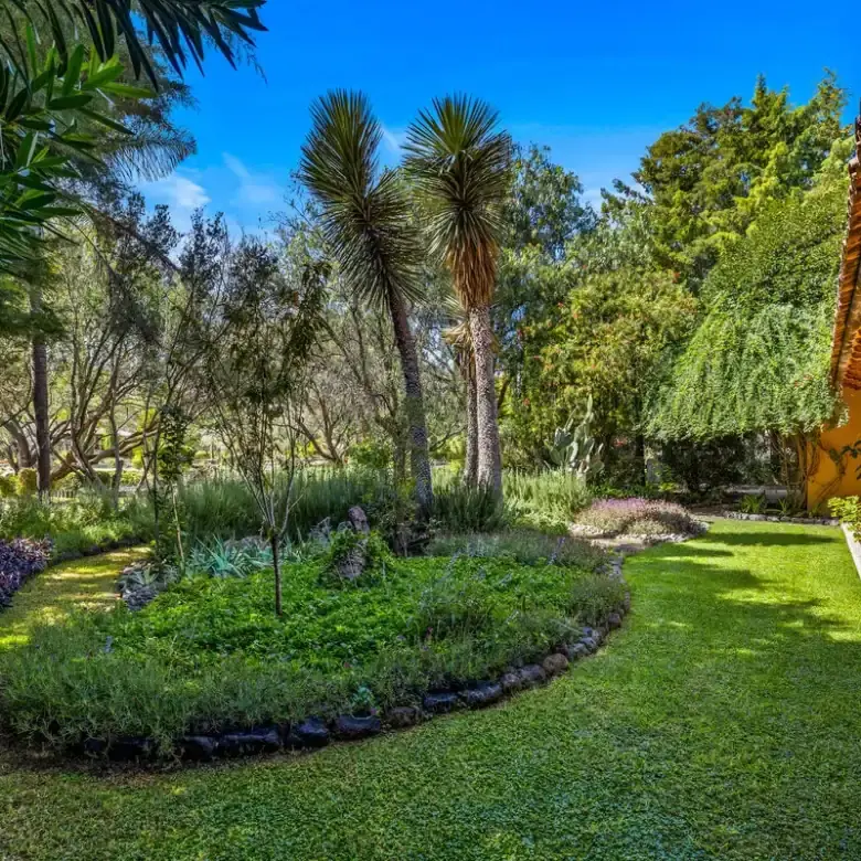Beautiful garden view of a lush, green outdoor space at a lakefront home in Rancho Los Labradores.