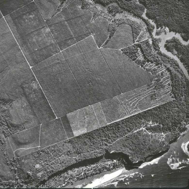 Land for sale in Lucena with scenic river views and lush greenery. Perfect for development or invest.