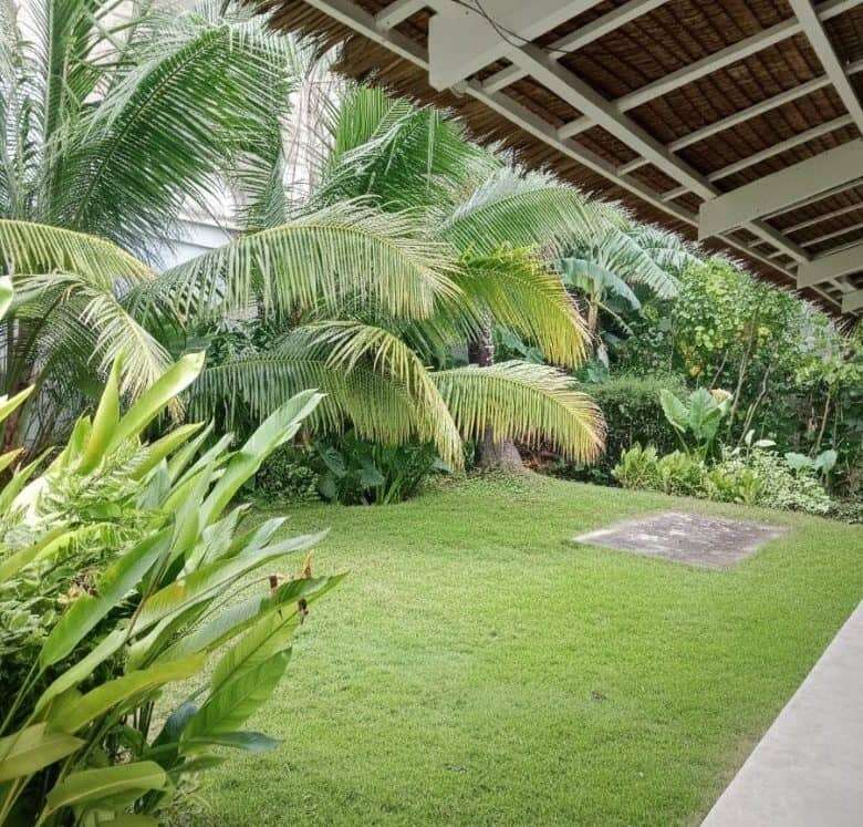 Beautiful 3-bedroom house with lush garden in Siargao Island, perfect for tropical living and relaxa.