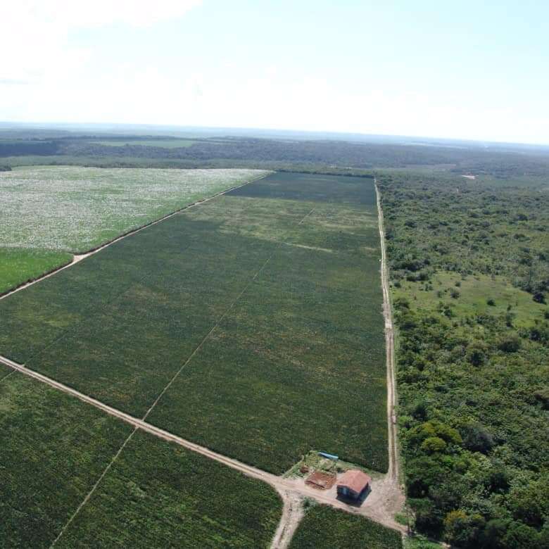 Land for sale in Lucena with scenic views and open space.