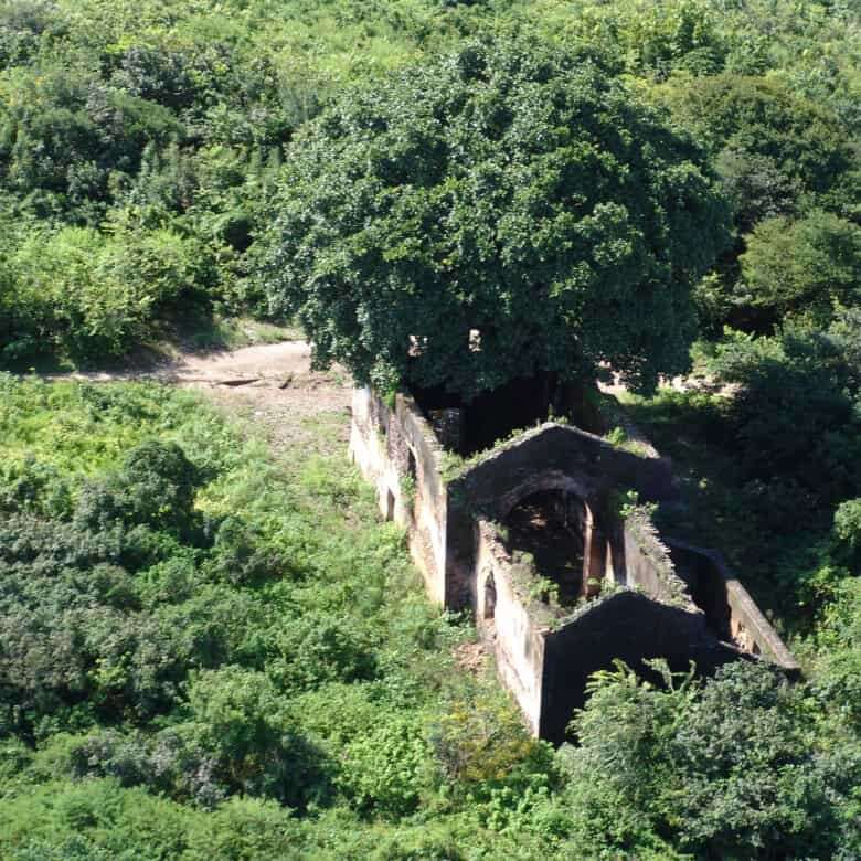 Land for sale in Lucena featuring ancient stone structures amid vibrant vegetation.