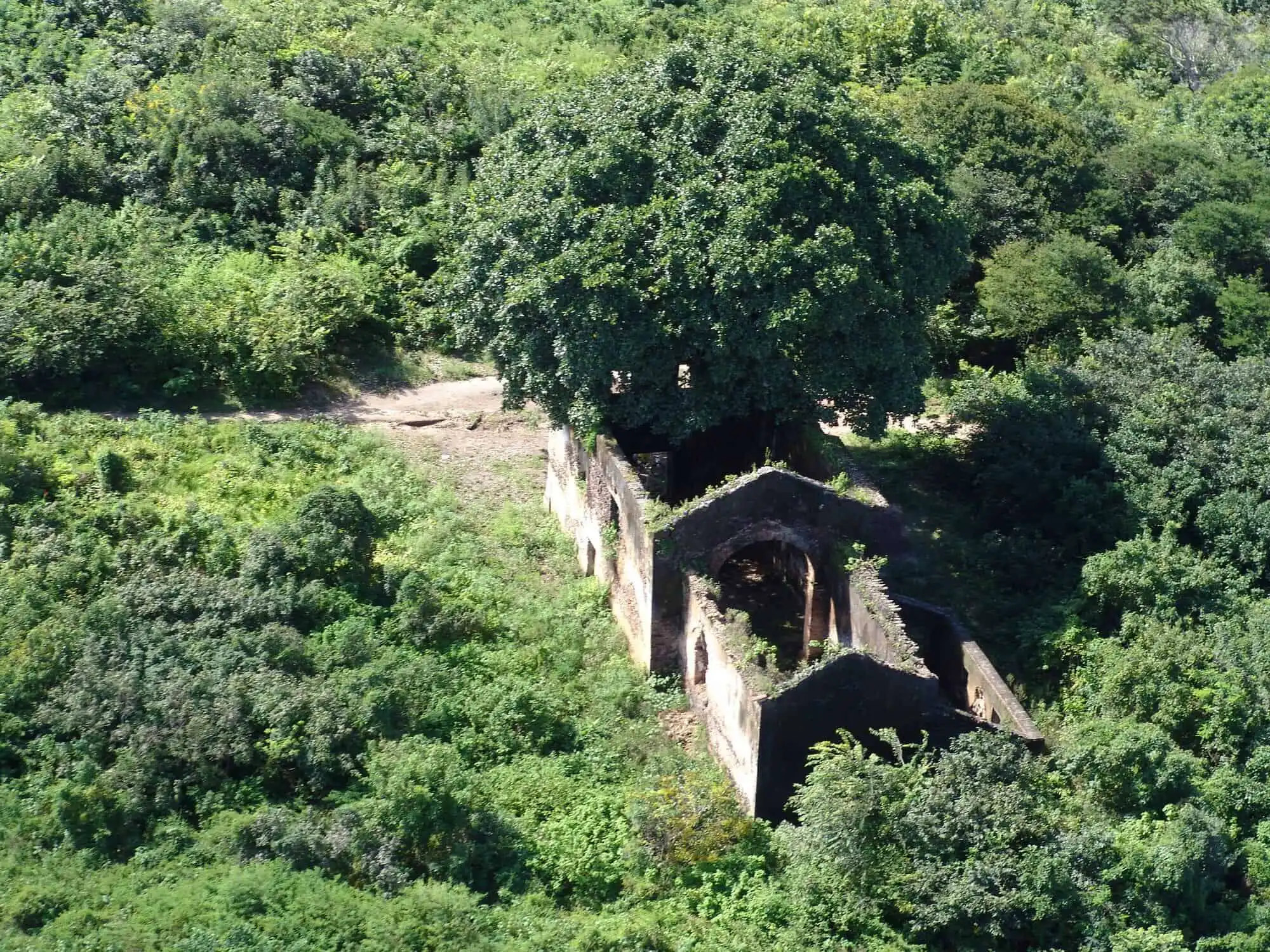 Land for sale in Lucena featuring ancient stone structures amid vibrant vegetation.