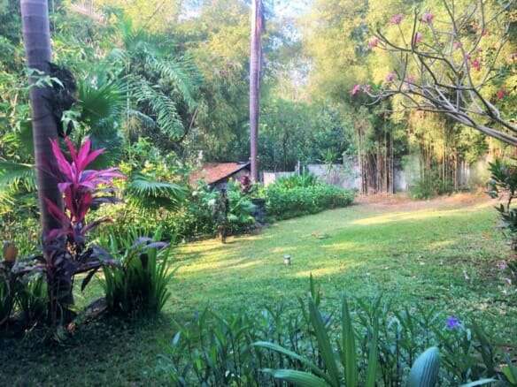 Bali land for sale with lush greenery and tropical plants.