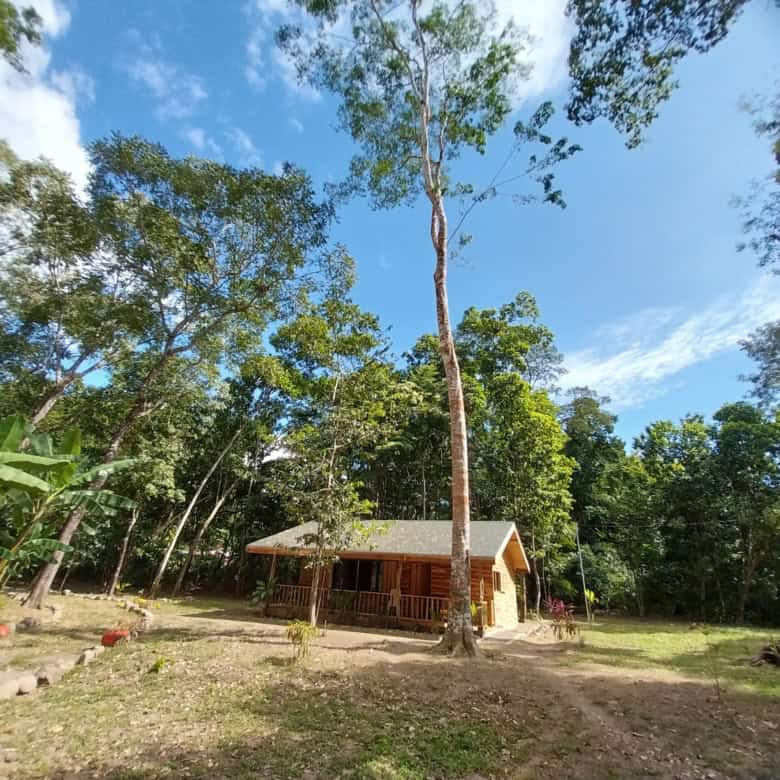 New homes for sale in Vainilla, Costa Rica, surrounded by lush tropical forest.