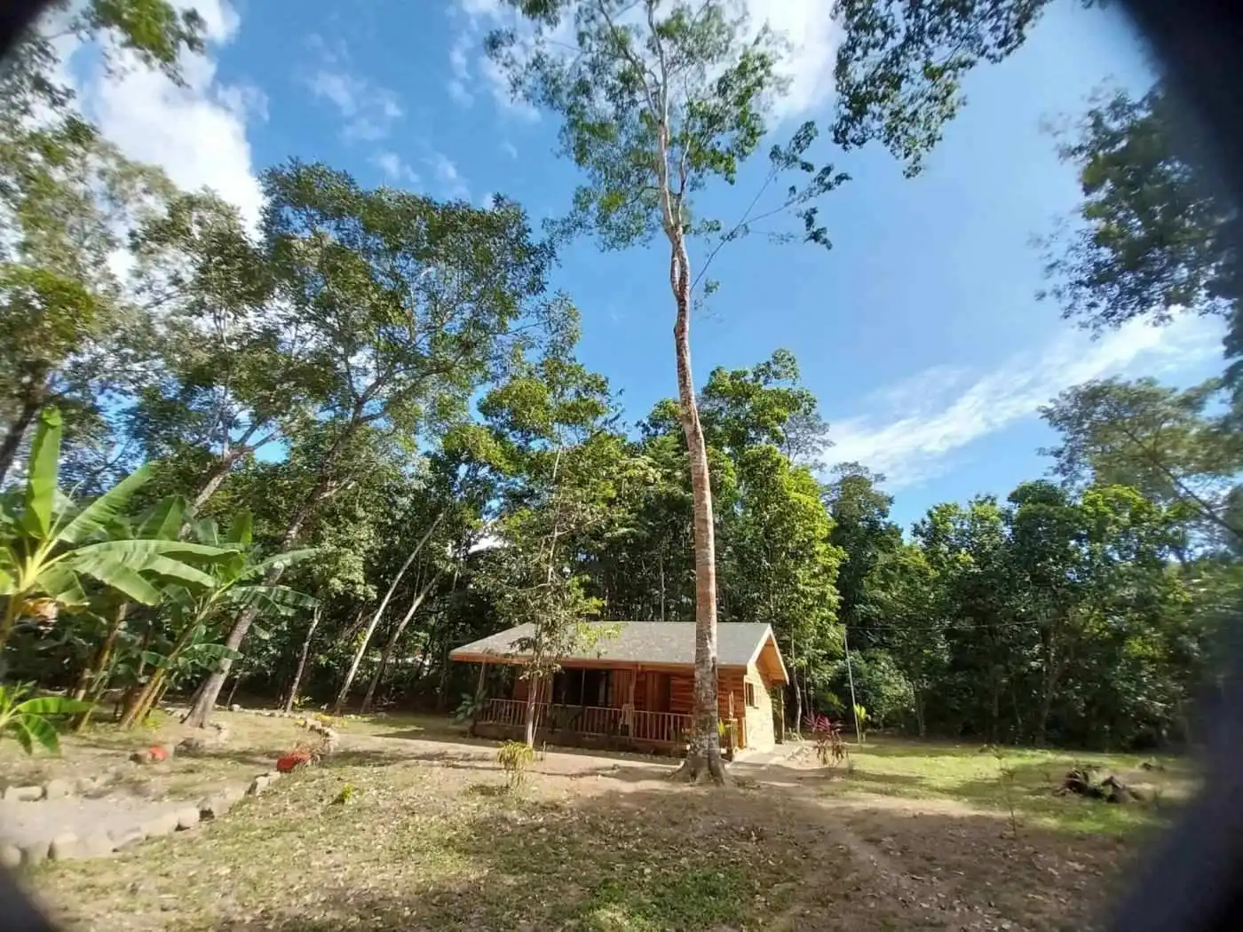 New homes for sale in Vainilla, Costa Rica, surrounded by lush tropical forest.