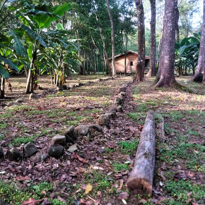 Beautiful rural land with two new homes surrounded by lush greenery in Vainilla, Costa Rica.