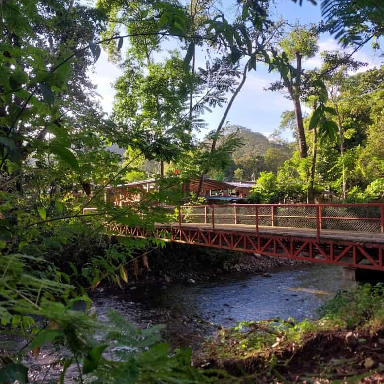 Beautiful new homes for sale in Vainilla, Costa Rica, surrounded by lush greenery and natural landsc.