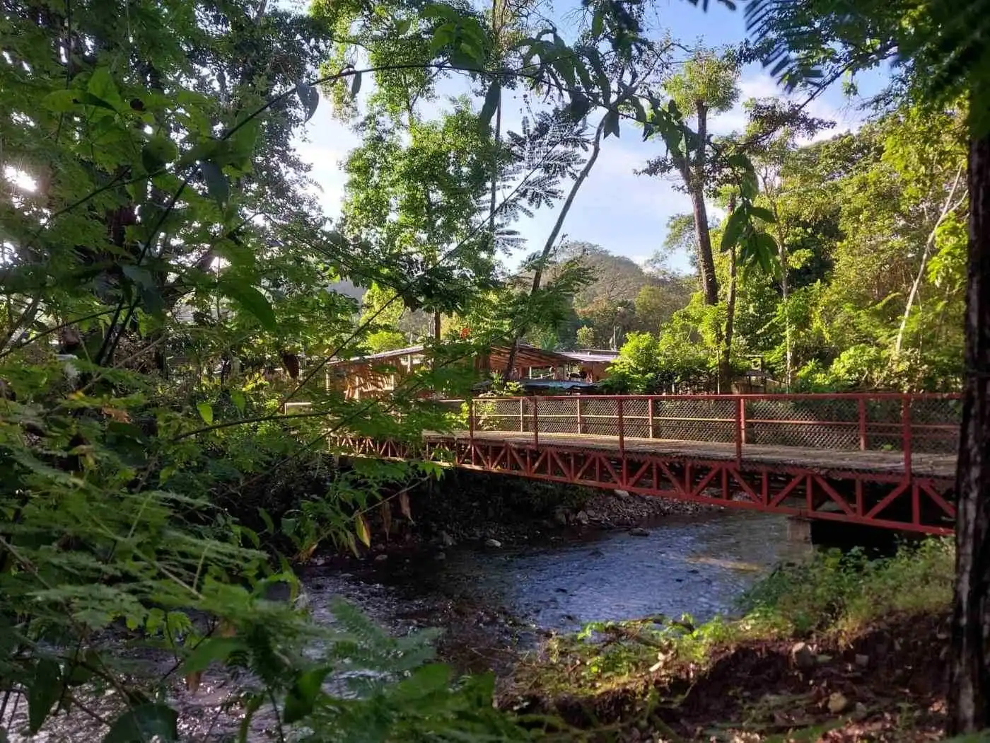 Beautiful new homes for sale in Vainilla, Costa Rica, surrounded by lush greenery and natural landsc.