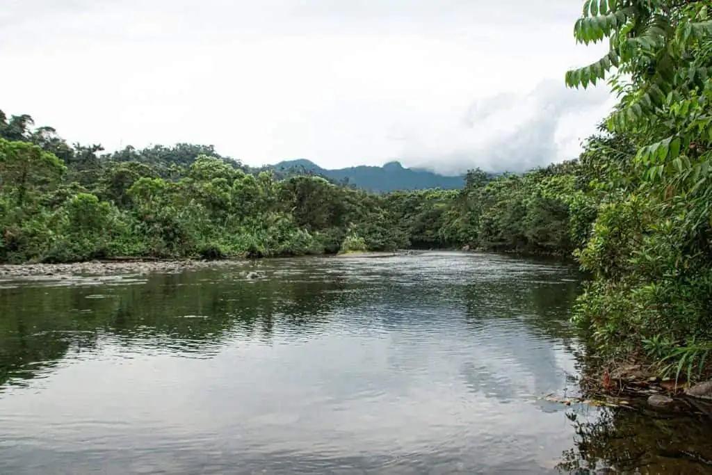River view at Llurimagua Ecuador for sale.