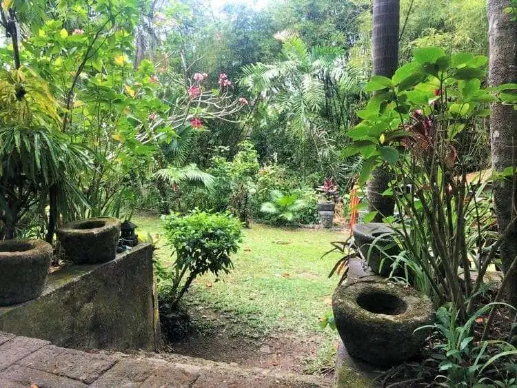 Beautiful Bali land plot with vibrant tropical plants and greenery for sale.