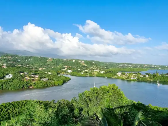 Scenic view of Saint George, Grenada with lush greenery and water bodies.