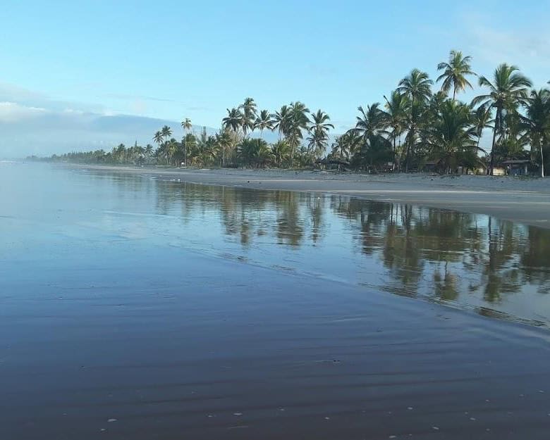 Beachfront view of Canavieiras, Bahia, Brazil, with palm trees and calm ocean waters.