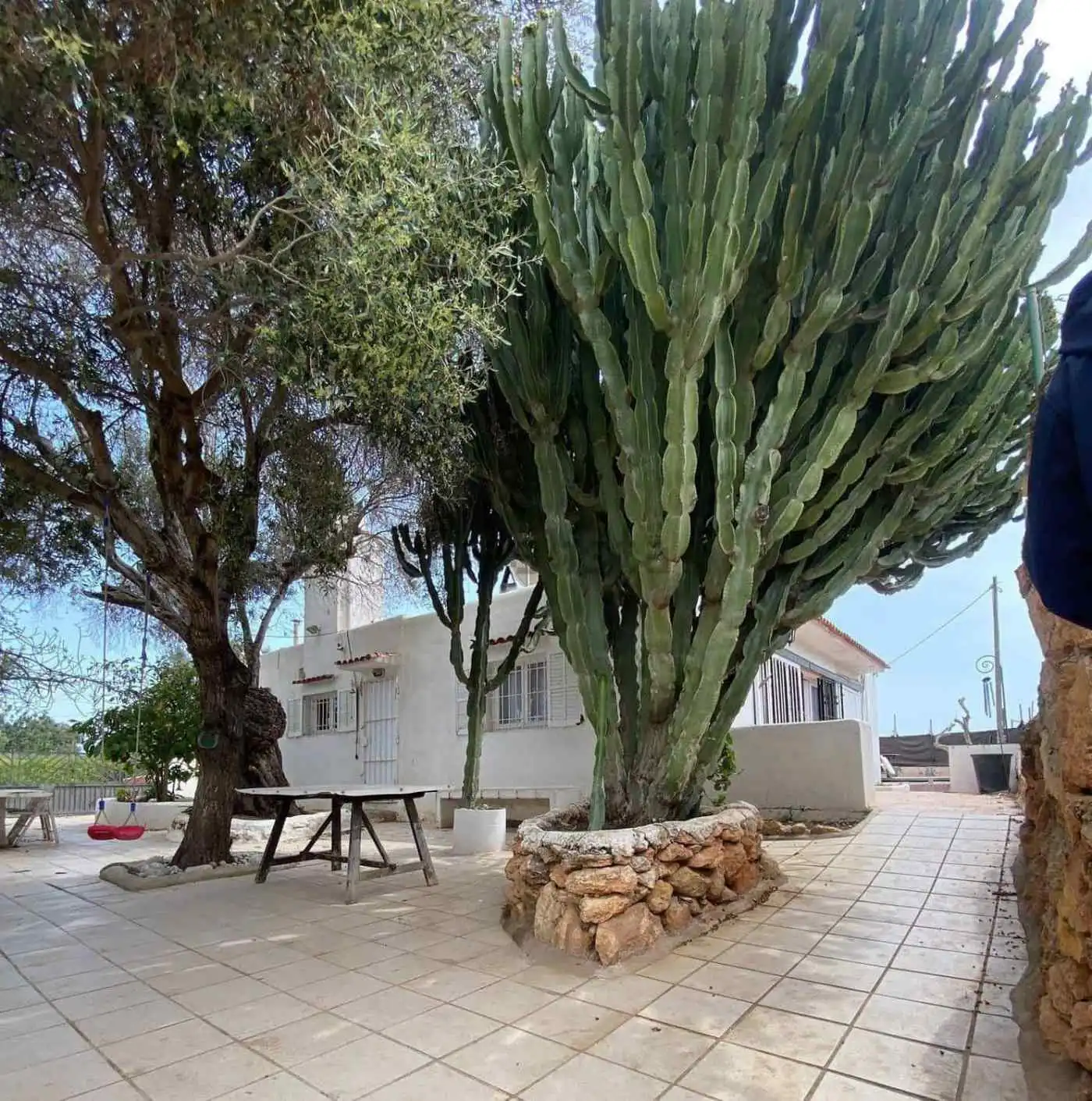Beautiful villa estate with two houses, lush trees, and spacious outdoor area in Playa Den Bossa, Ib.